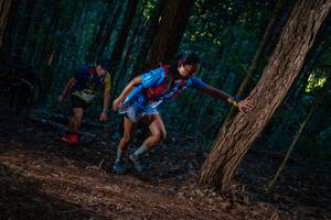 BIB: 
                            <button type="button" onclick="openModal(19211687)" class="btn btn-primary btn-sm float-right btn-popup" data-toggle="modal" data-target=".modal-high-quality">
                        <i class="fas fa-shopping-cart"></i> Add to Cart
                    </button>
                                            <button type="button" onclick="isThisMe(19211687, true)" class="btn btn-success btn-sm float-right btn-popup btn-isme hidden" data-toggle="tooltip" data-placement="bottom" title="นี่คือรูปของคุณใช่ไหม คลิกที่นี่เพื่อเอาเข้าอัลบั้ม">
                        <i class="fas fa-plus"></i> Add to album
                    </button>
                    <button type="button" onclick="isThisMe(19211687, false)" class="btn btn-warning btn-sm float-right btn-popup btn-isnotme hidden">
                        <i class="fas fa-ban"></i> Remove from album
                    </button>